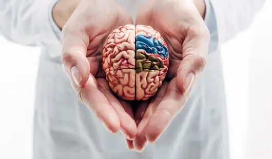 Tu te sens déprimé, anxieux, nerveux, épuisé ? Prends-tu soin de ton cerveau ?
